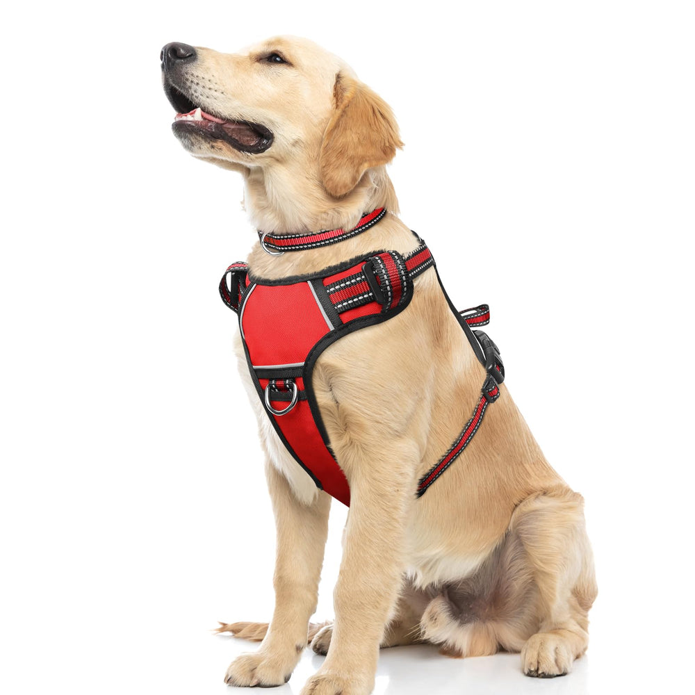 WINSEE harnais chien – boucle rapide pour enfiler facilement et sécurité.