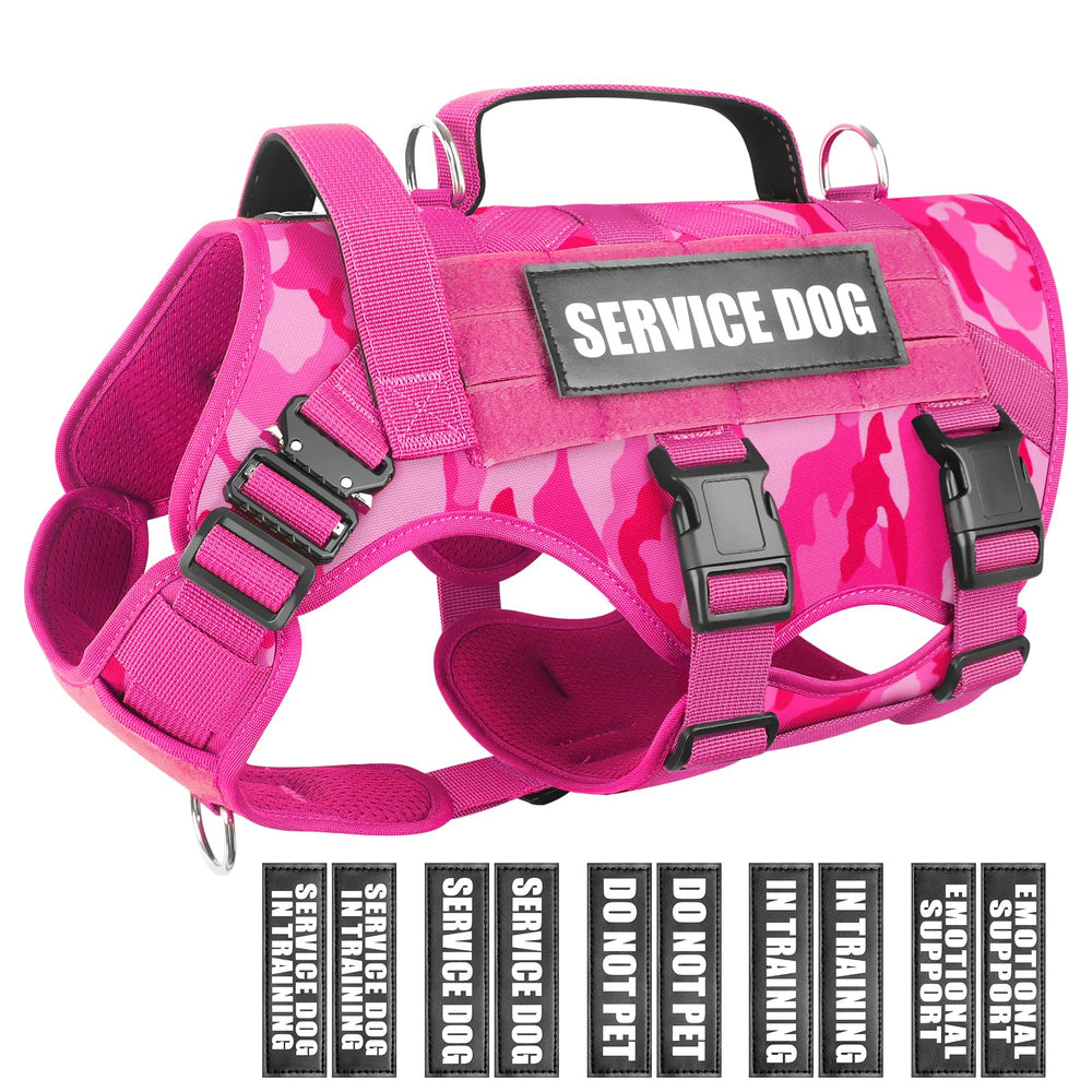 Harnais WINSEE pour chien de service avec MOLLE et confort.
