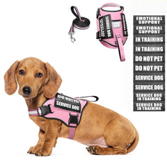 WINSEE harnais chien rose, sécurité et confort lors des promenades quotidiennes.