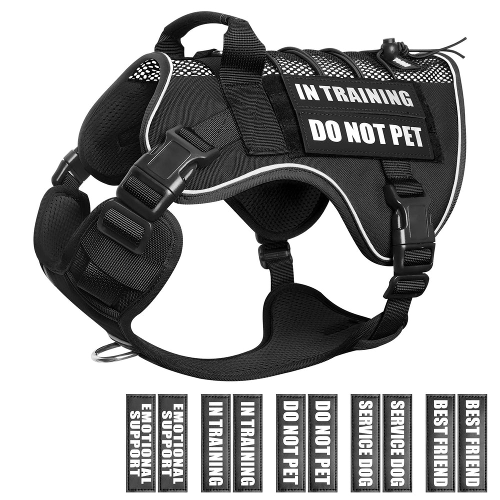 Harnais WINSEE en mesh respirant pour chien en formation, confort et air frais.