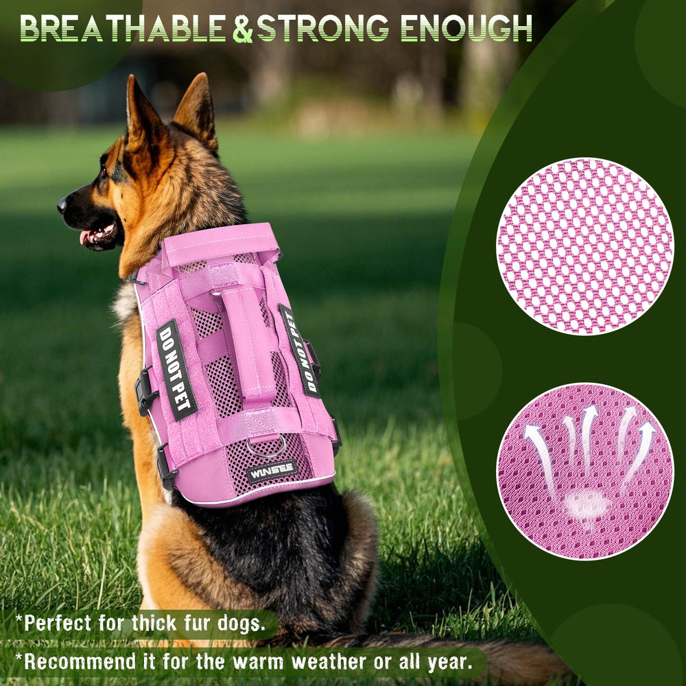 Harnais WINSEE maille système MOLLE et poignée double pour organiser les accessoires.