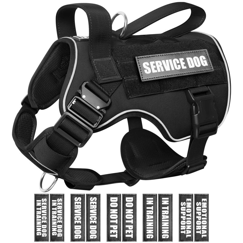 Harnais WINSEE MOLLE pour chien grand, sécurité et contrôle.