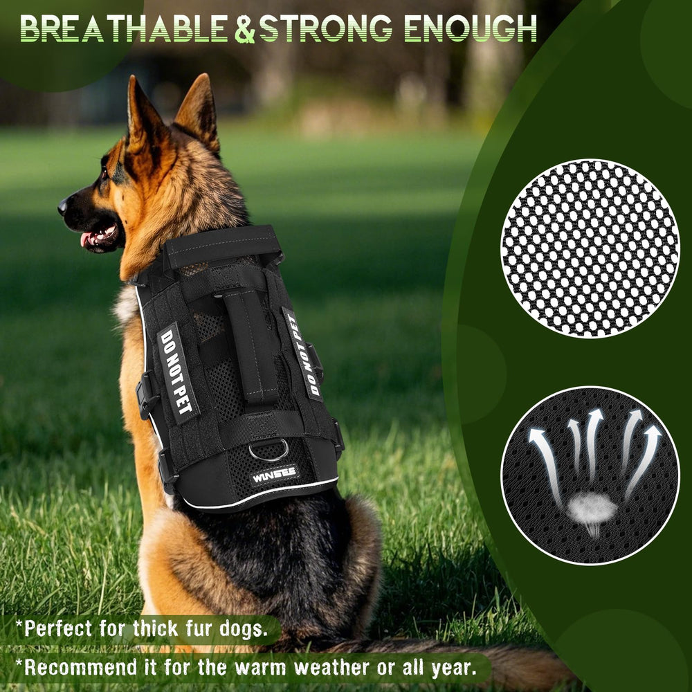 Harnais WINSEE MOLLE avec poches externes pour chien.