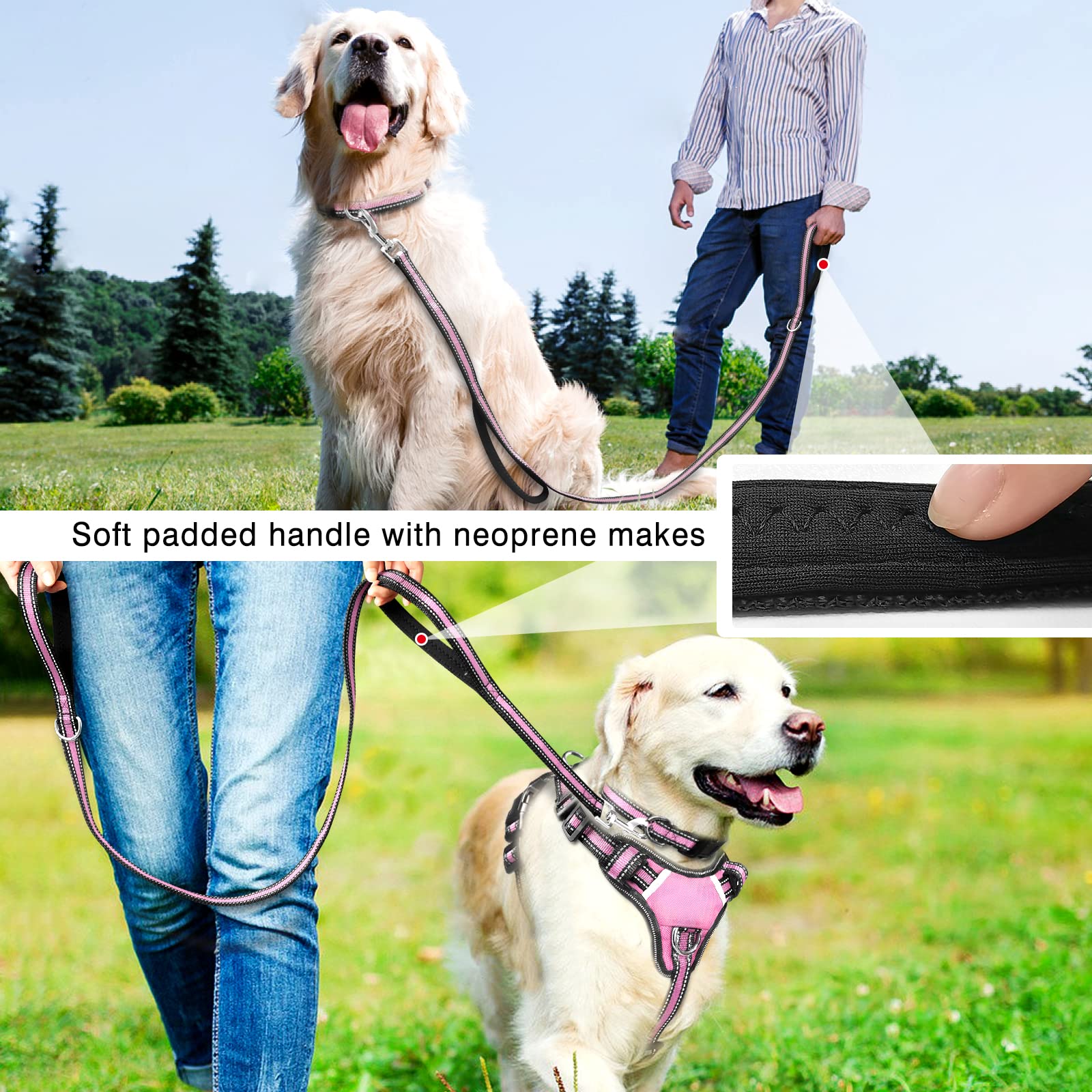 Harnais rembourré WINSEE pour le confort du chien