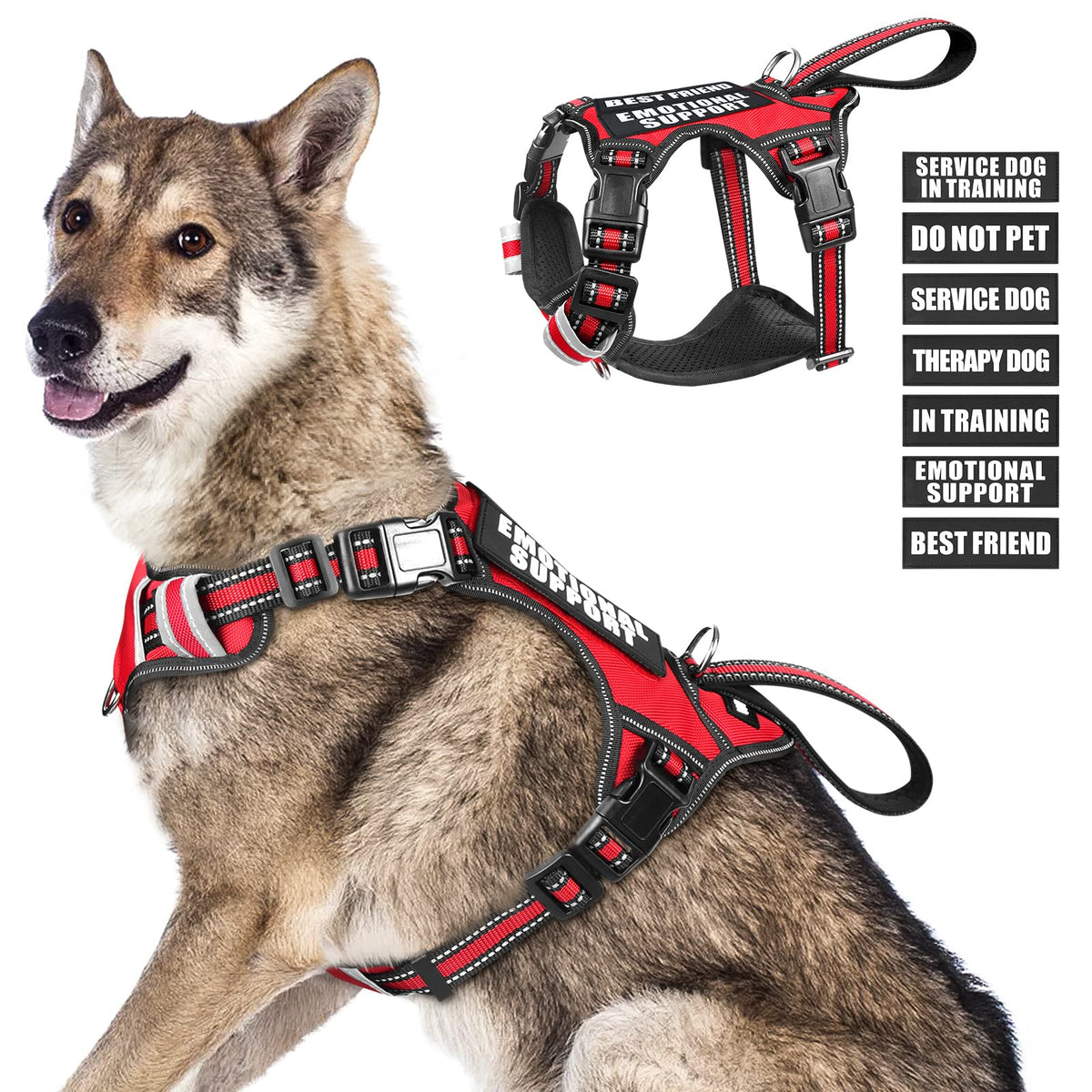 WINSEE harnais service chien veste avant, confort léger lors des promenades.