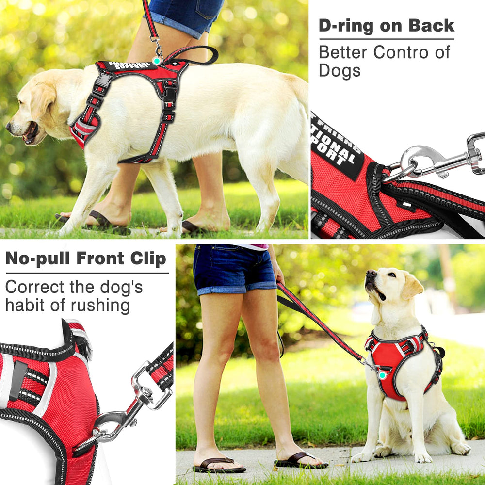 WINSEE harnais service chien réfléchissant, meilleure visibilité en promenades matinales.