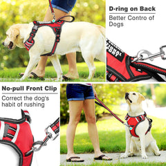 WINSEE harnais service chien réfléchissant, meilleure visibilité en promenades matinales.