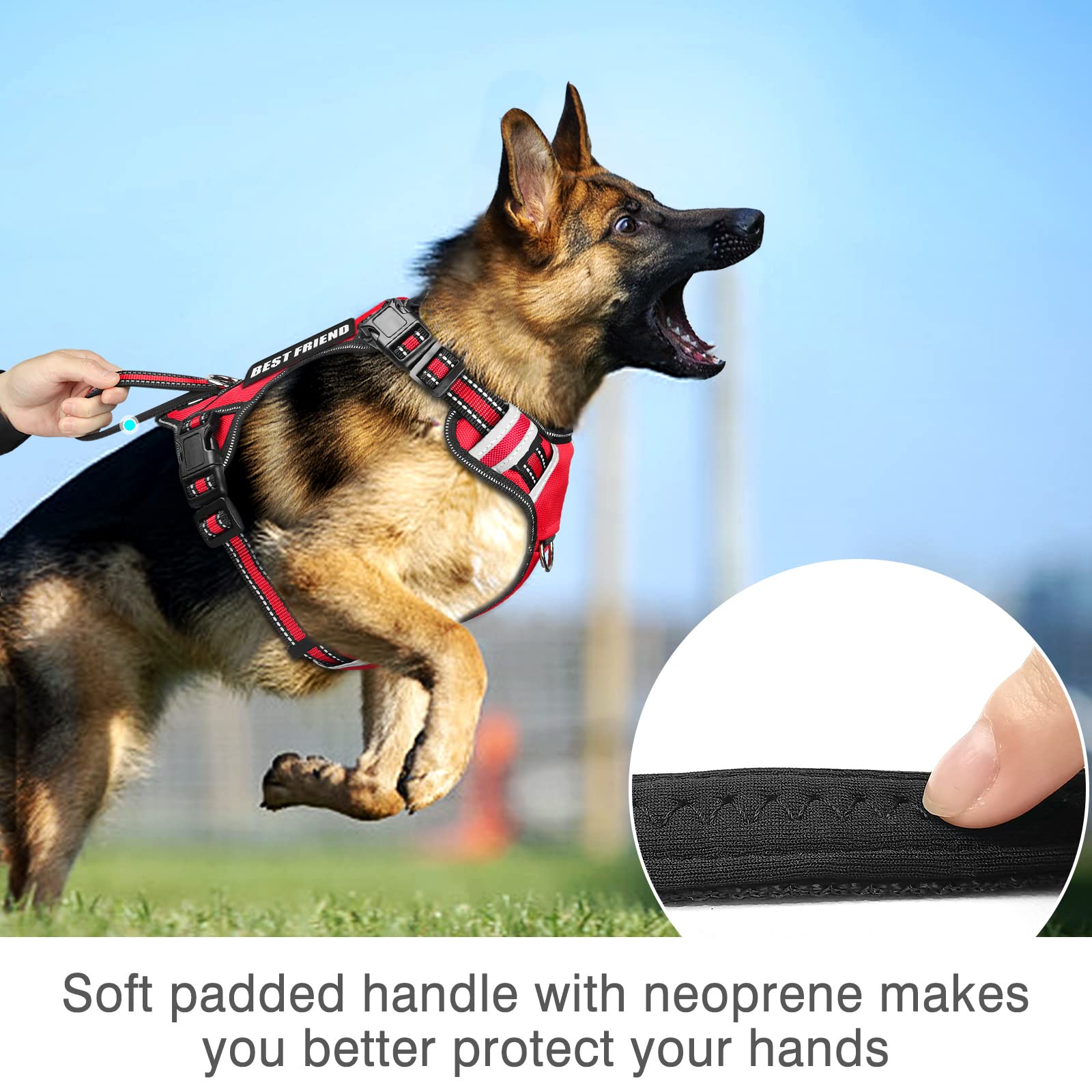 WINSEE harnais pour utilisation extérieure, pratique en entraînement et promenades.