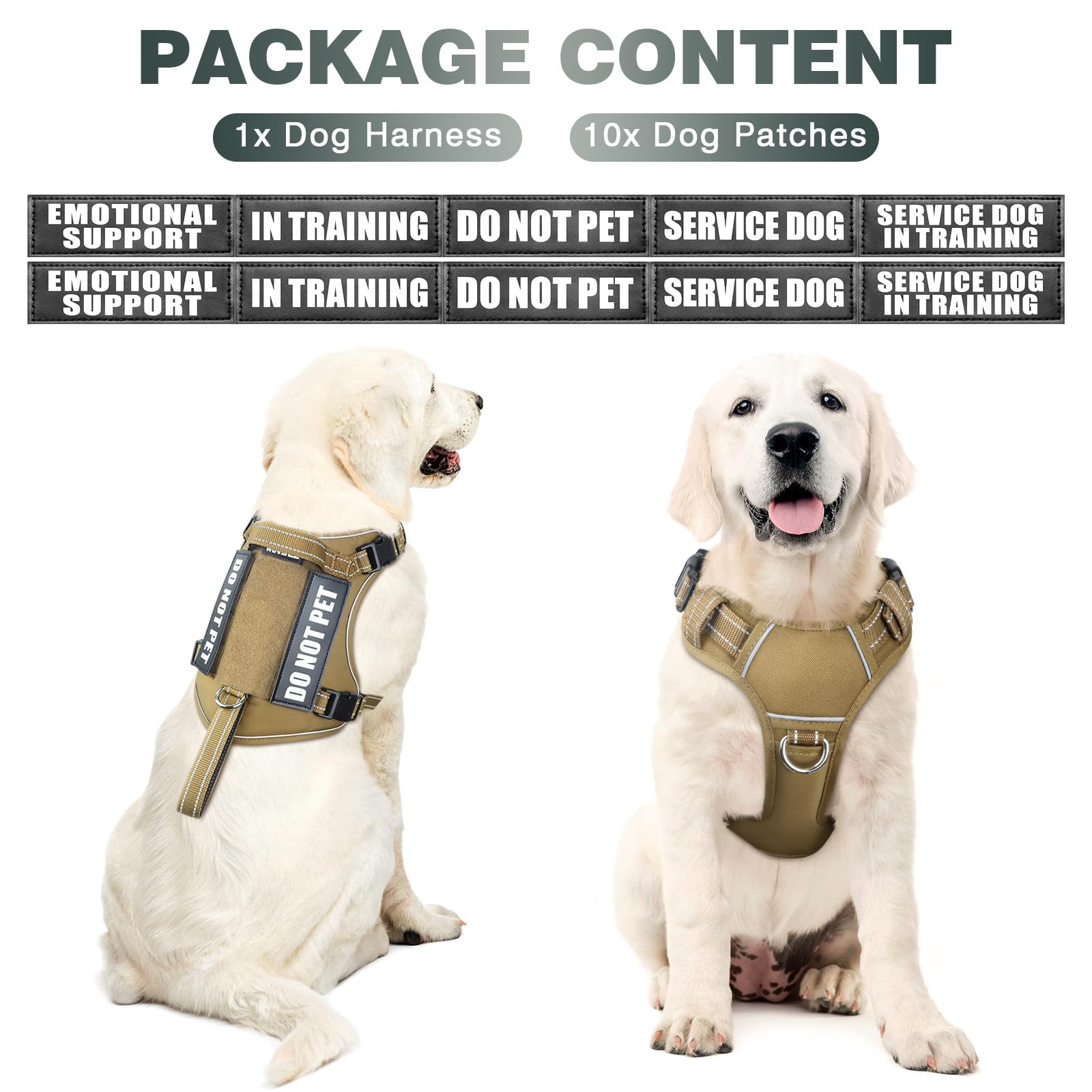 Harnais WINSEE tactique pour chien — vue arrière, sécurité renforcée et clips de laisse.