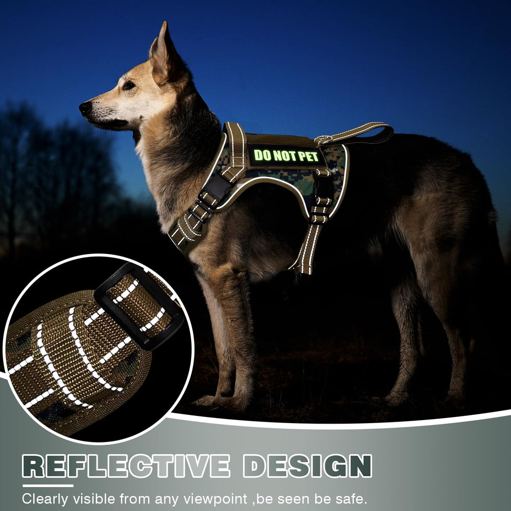 WINSEE harnais tactique: dix patches Velcro pour personnalisation et signalisation.