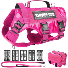 Harnais WINSEE – ensemble idéal pour entraînement et promenade sécurisée.