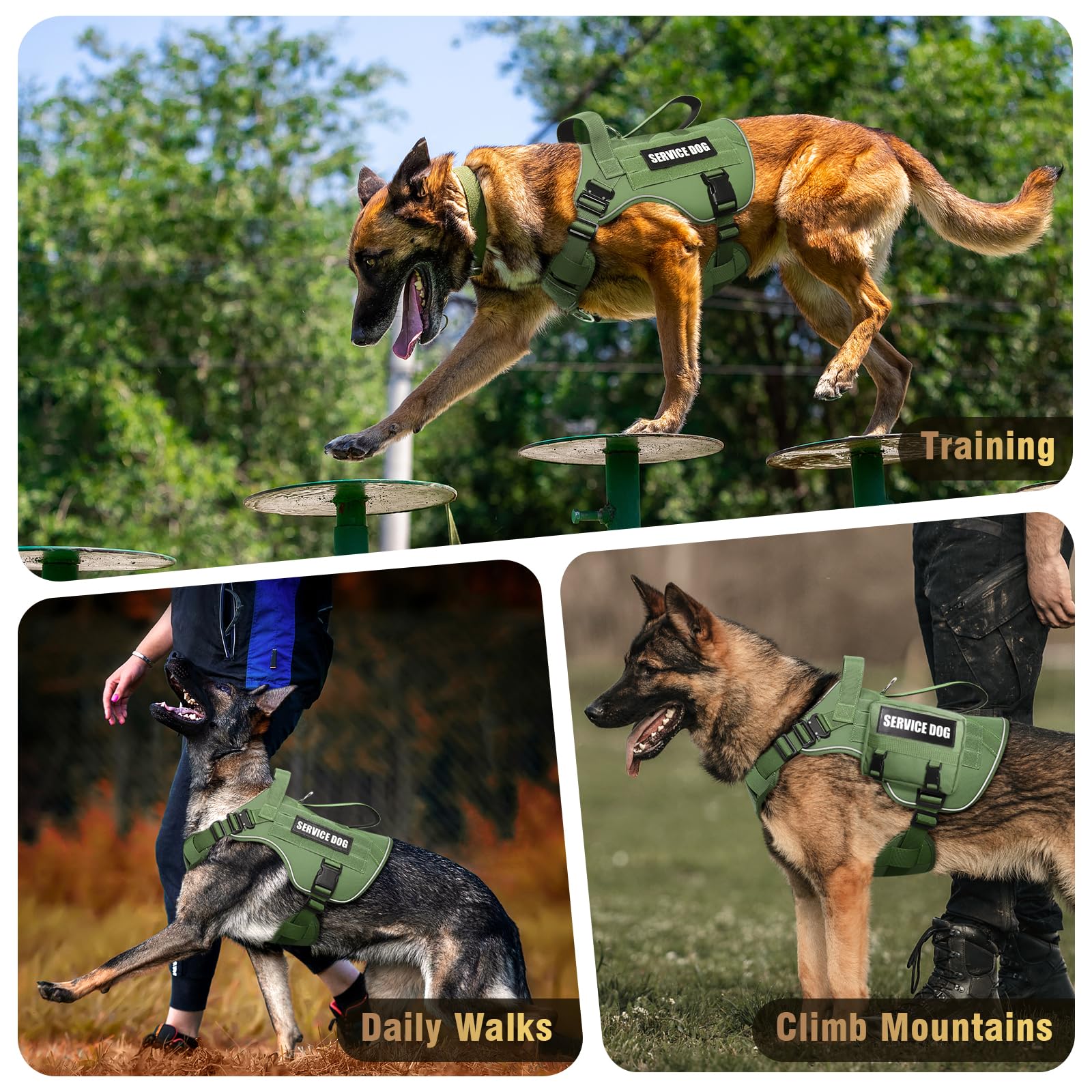 Harnais WINSEE tailles réglables pour un ajustement sûr sur grands chiens.