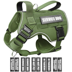 Harnais WINSEE pour chien grand avec système Molle, prêt à accueillir des accessoires.