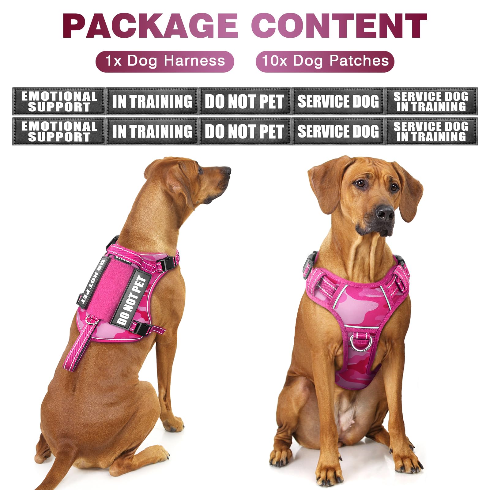  WINSEE harnais tactique chien patches inclus pour signalisation.