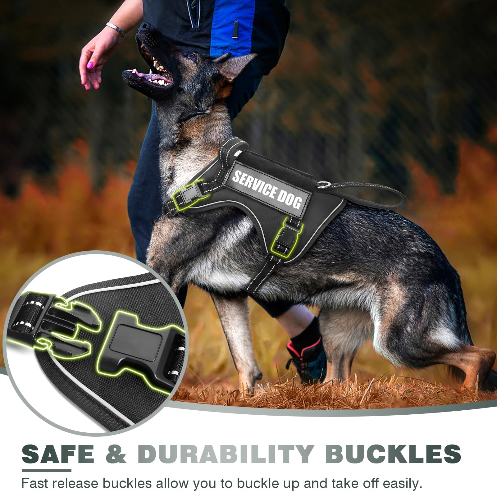 Patchs Velcro amovibles avec “service dog” et autres indications.
