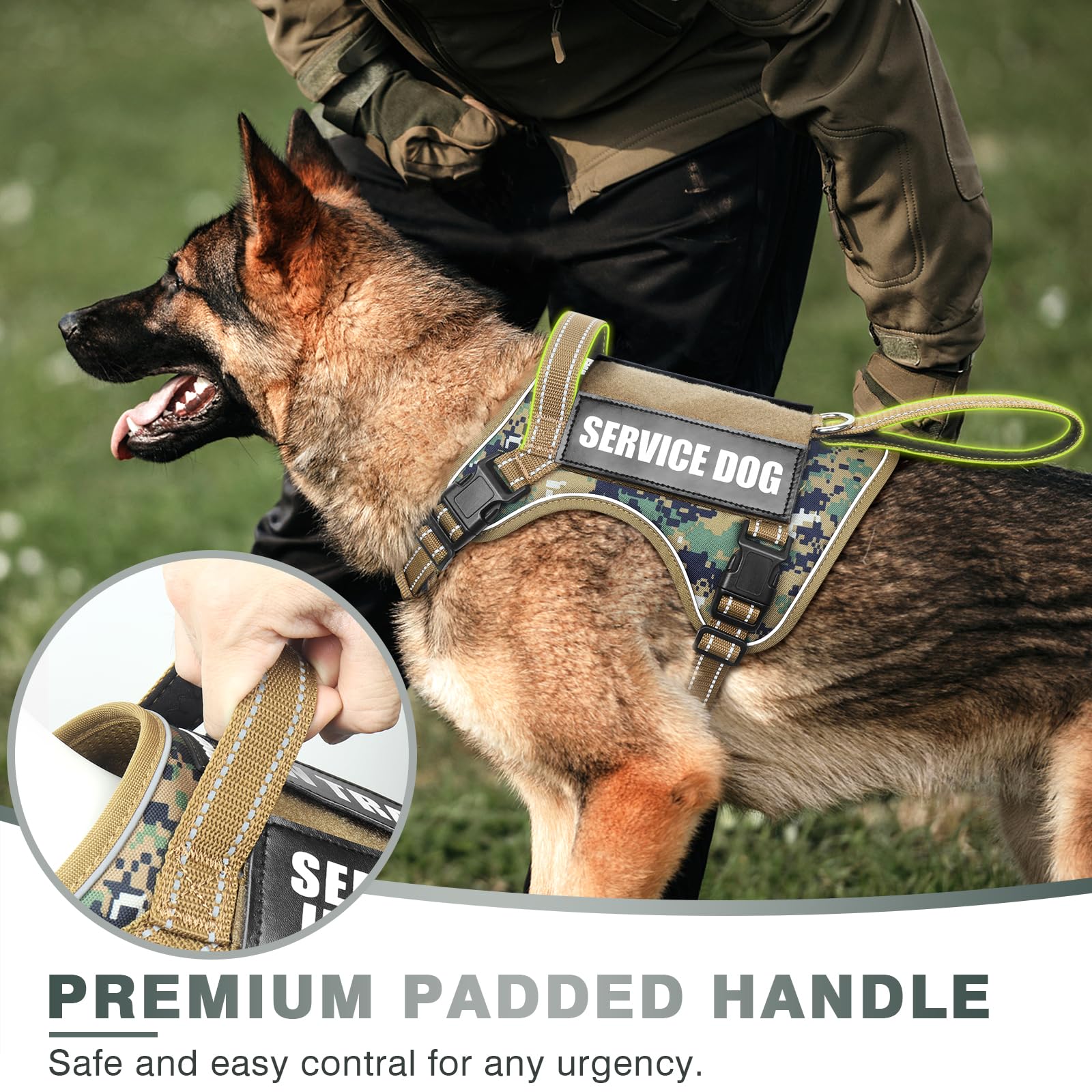 WINSEE harnais tactique: système MOLLE et patches pour signaler le rôle du chien.
