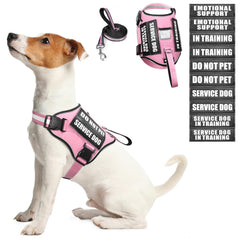 Harnais WINSEE avec veste pour chien, confort et sécurité lors des entraînements.