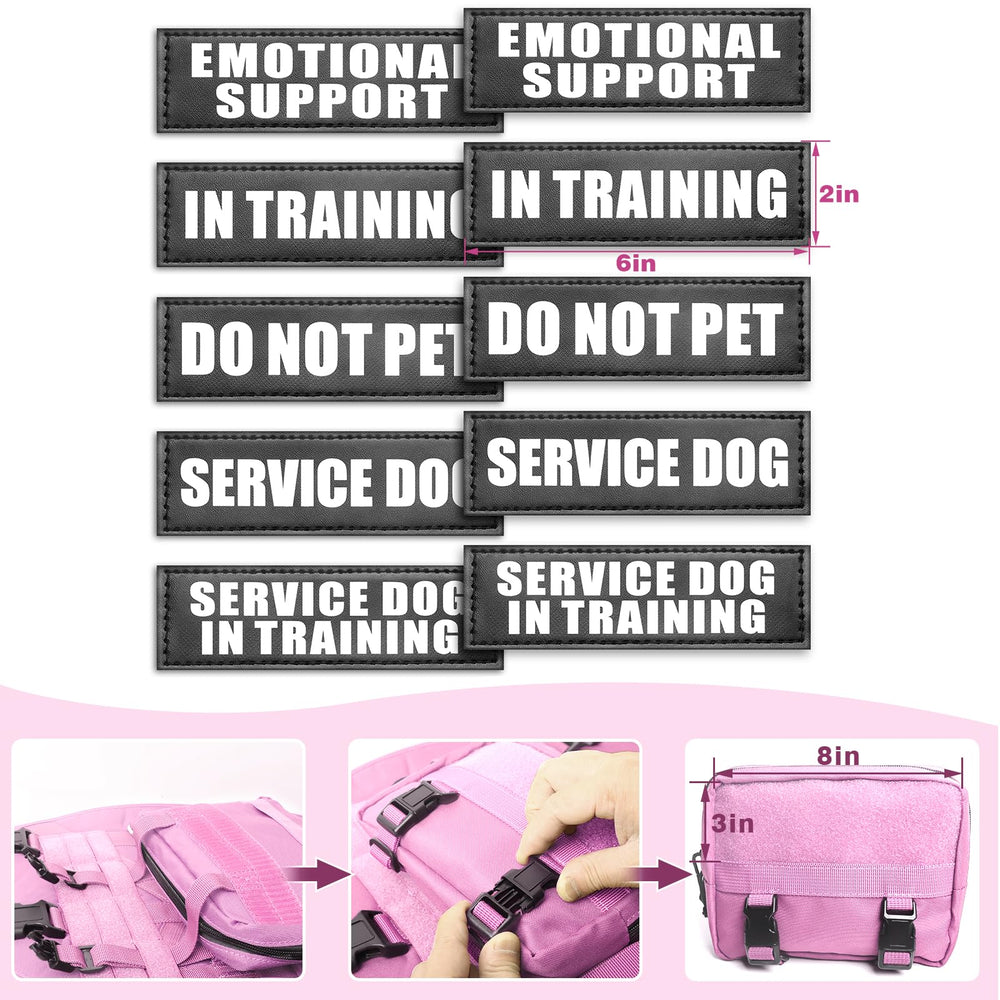 WINSEE kit accessoires chien, polyvalence pour activités extérieures.