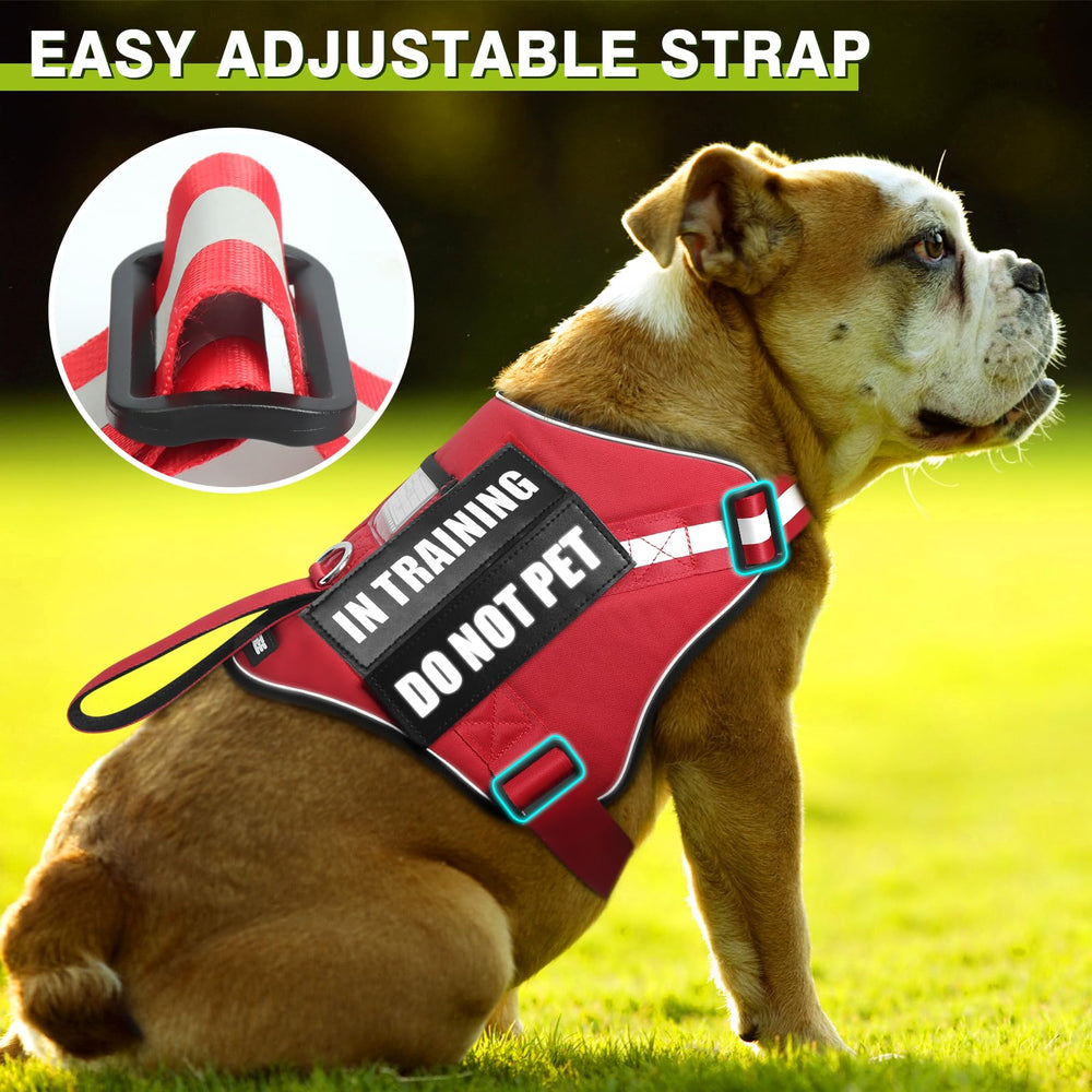 Laisse WINSEE rouge de 5 pieds, robuste pour les promenades quotidiennes.