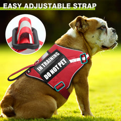 Laisse WINSEE rouge de 5 pieds, robuste pour les promenades quotidiennes.