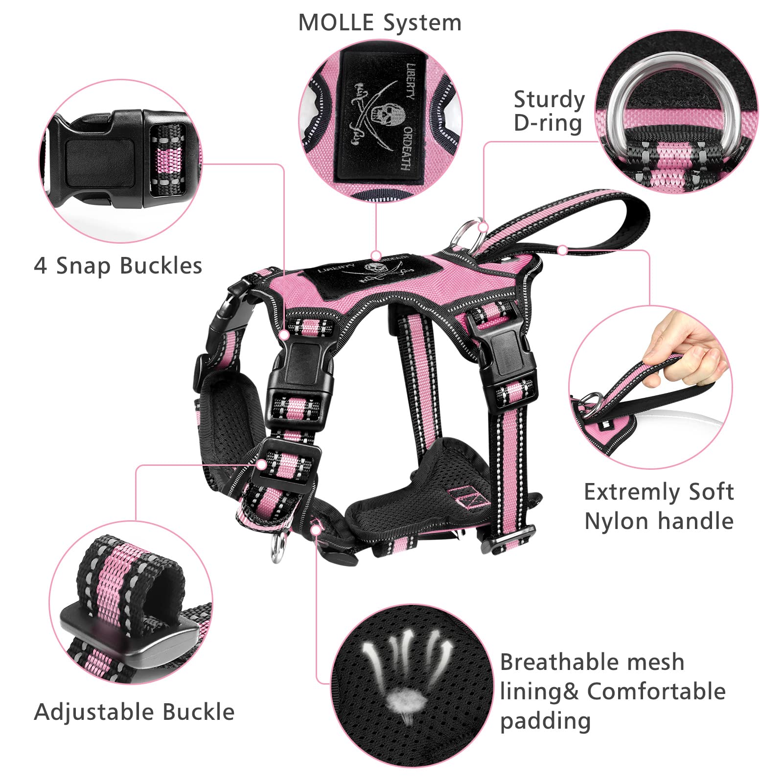 Laisse réfléchissante WINSEE pour chien, pratique et sécurisante