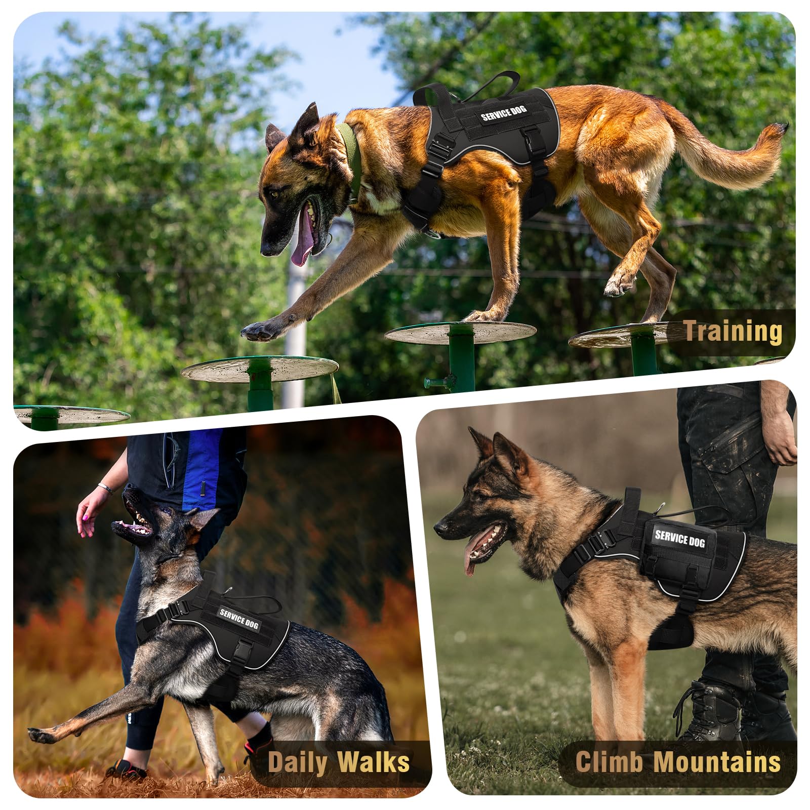Patchs en formation et soutien émotionnel WINSEE pour entraînement.