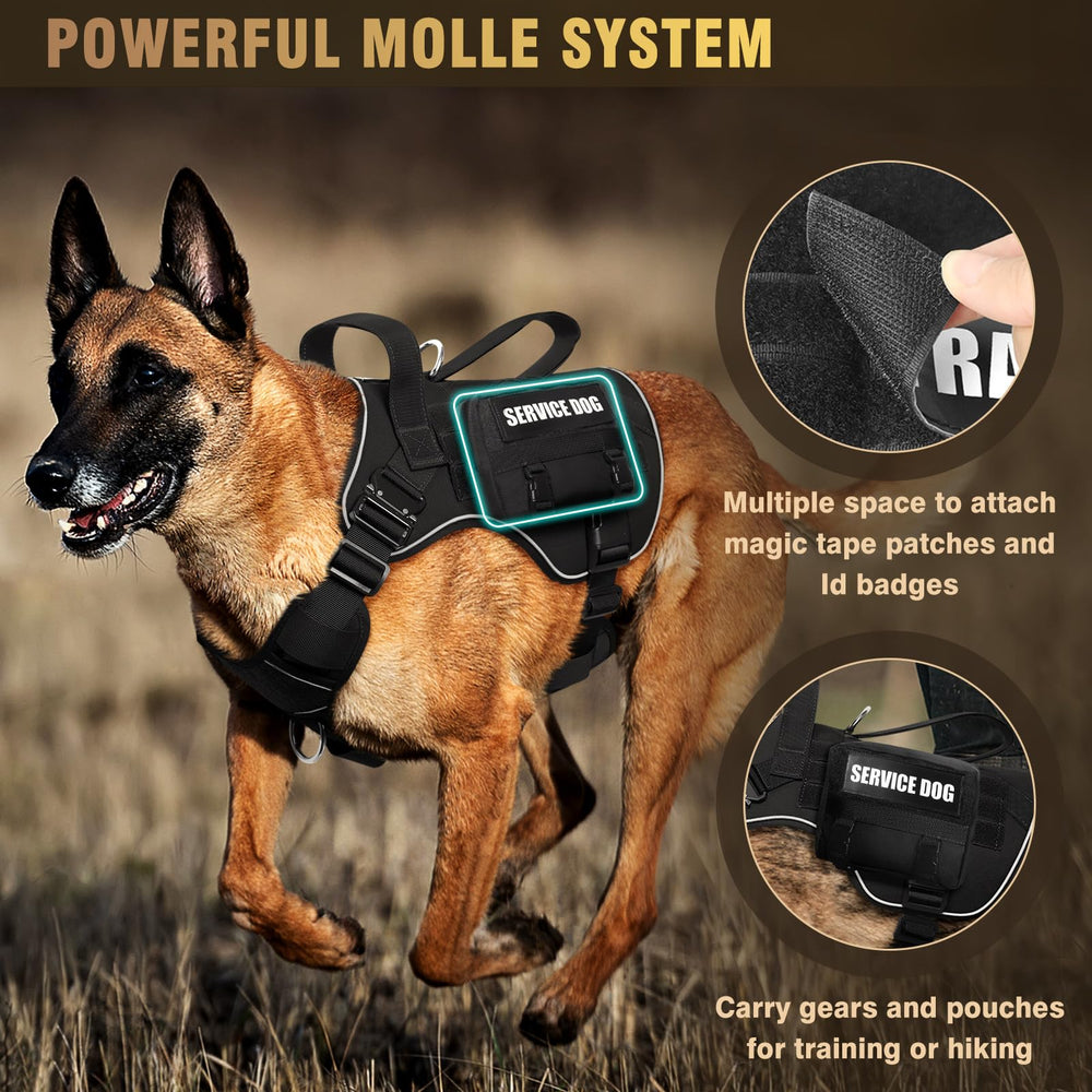 Patchs WINSEE: service chien et identifiant.