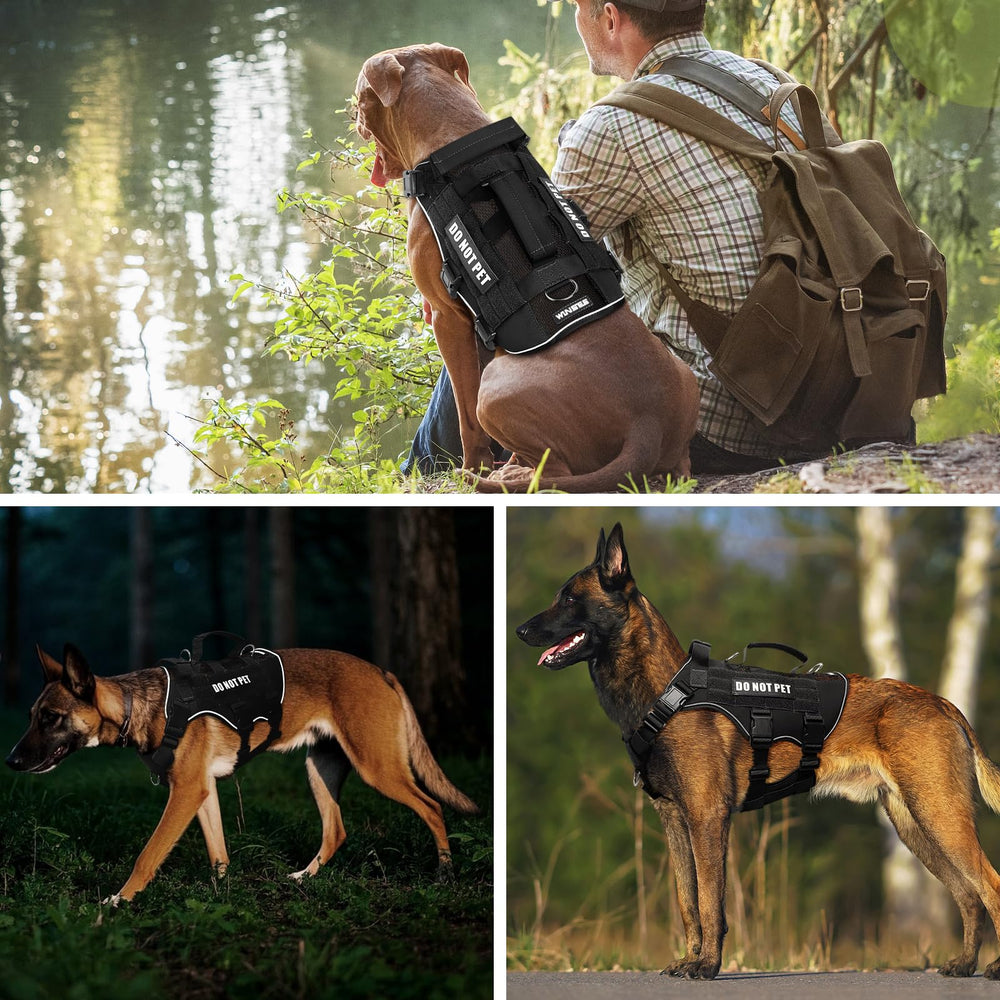 Patchs personnalisables WINSEE pour signalisation et style.