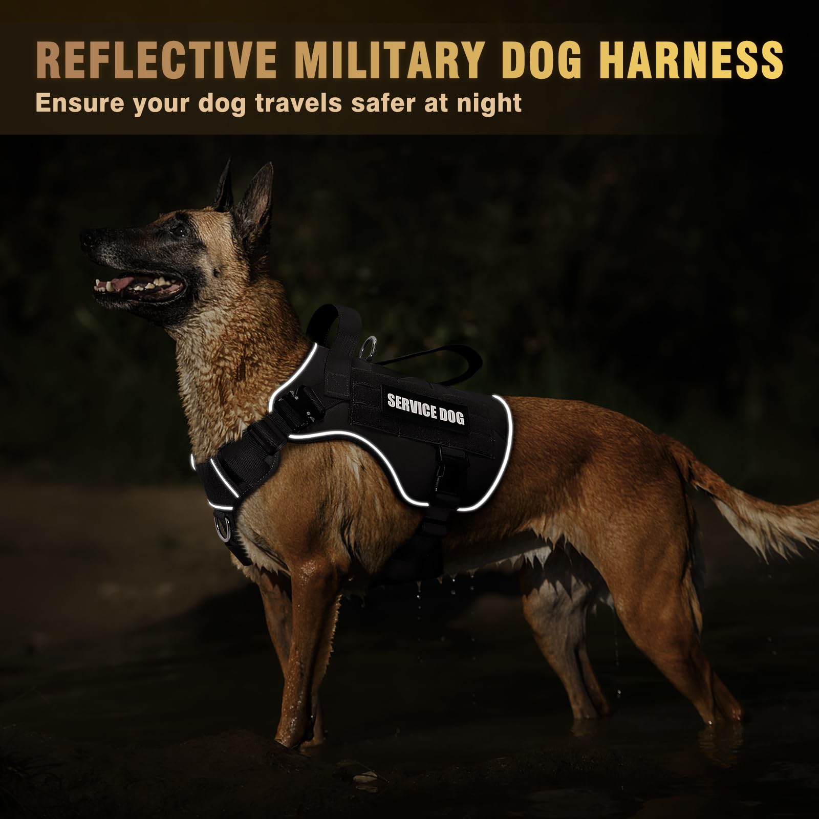 Système MOLLE sur les côtés du harnais WINSEE pour accessoires.