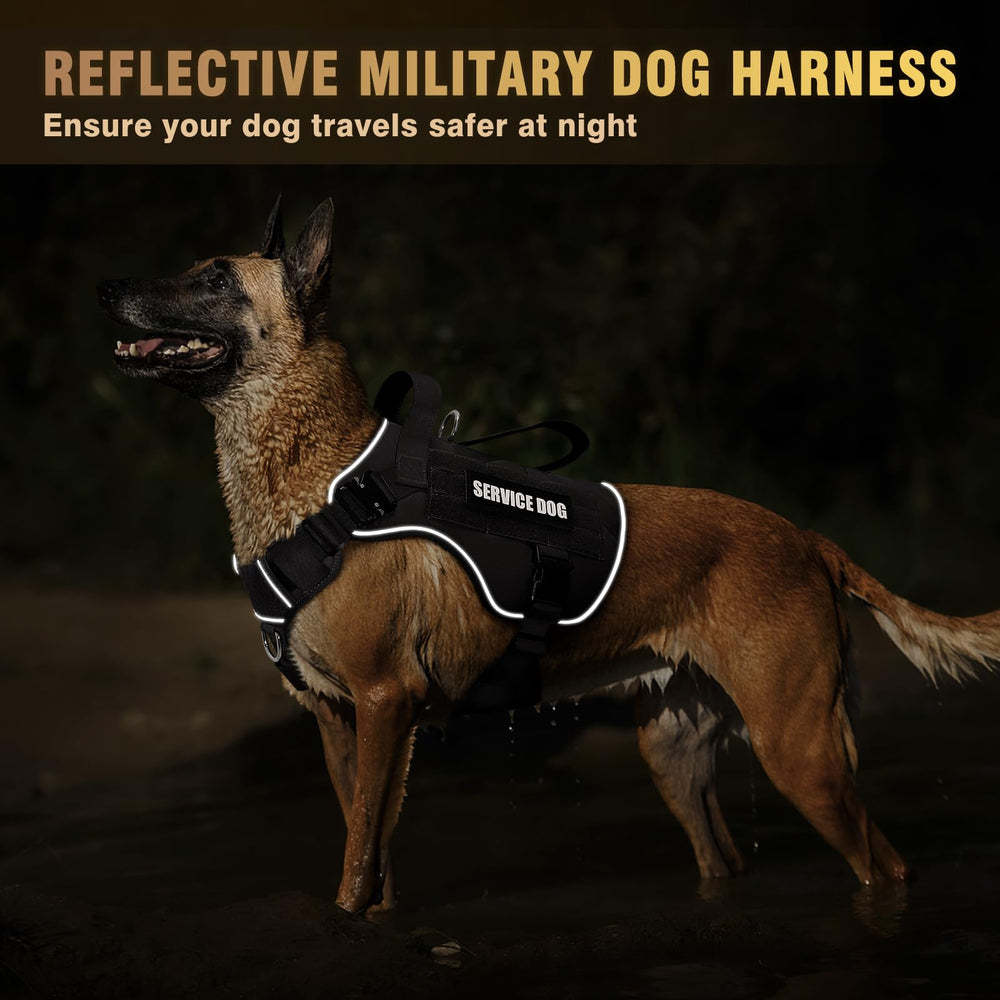 Système MOLLE sur les côtés du harnais WINSEE pour accessoires.