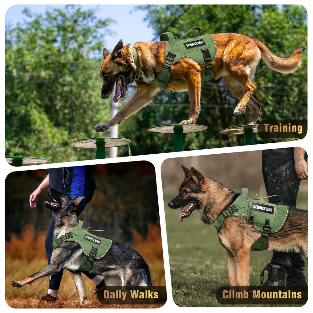 Utilisation extérieure WINSEE adaptée pour entraînement, chasse et balades.