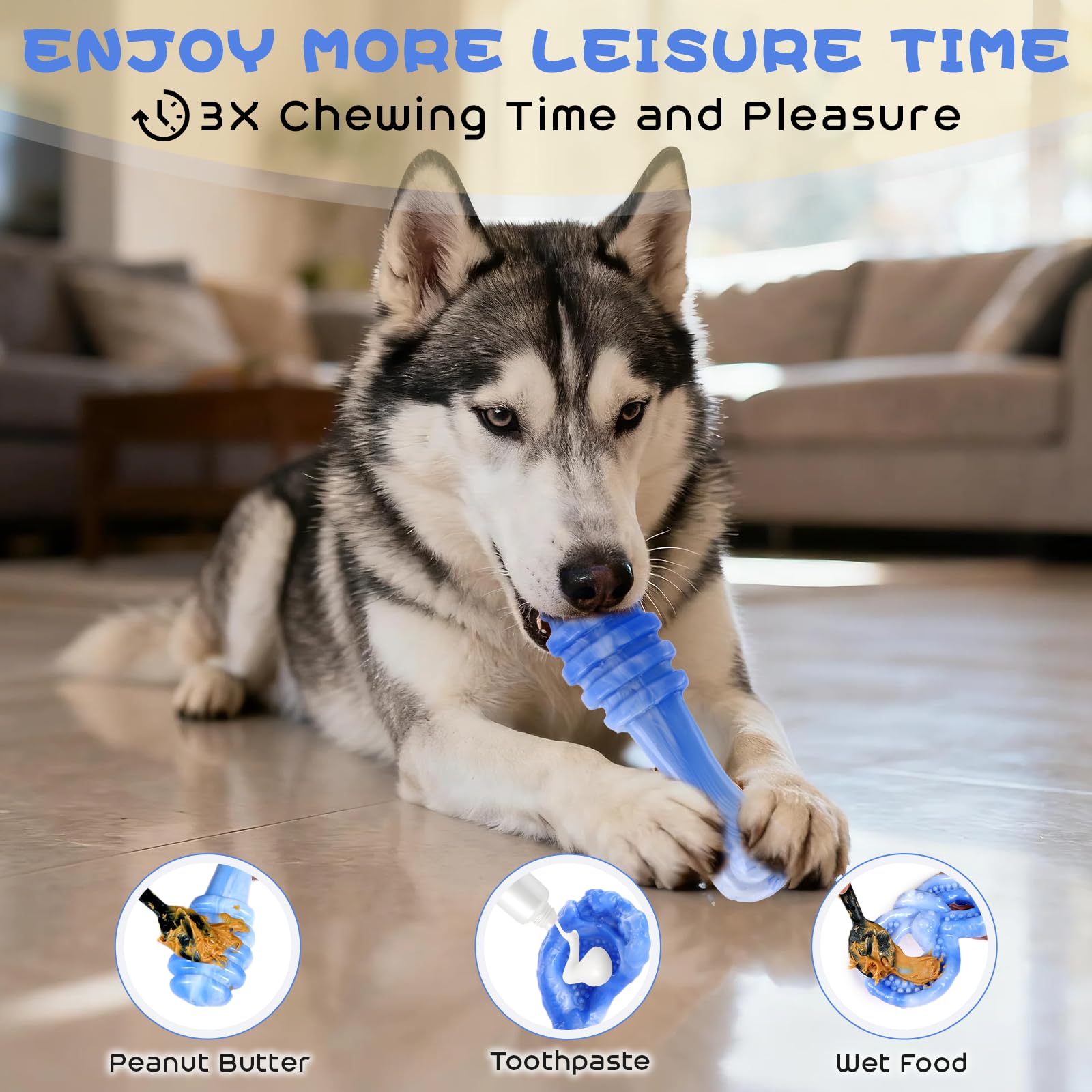WinTour anneau bacon: vue arrière, stimulant et durable pour les chiens actifs.