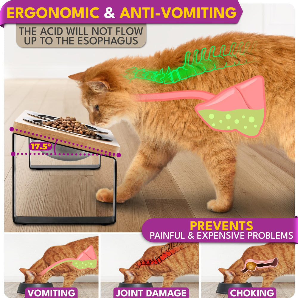 WinTruffles bol inox assure hygiène et durabilité pour l’alimentation du chat.