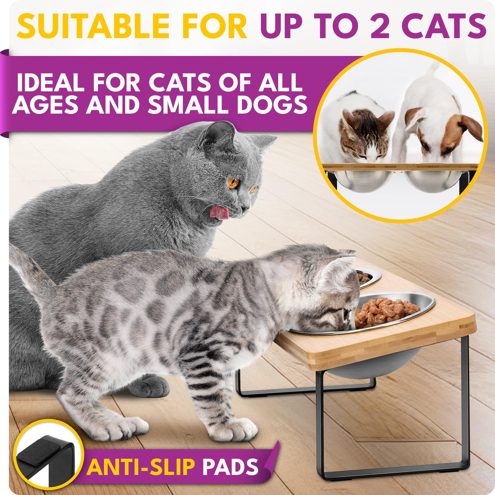 WinTruffles ensemble de 2 bols chat pour repas pratique.