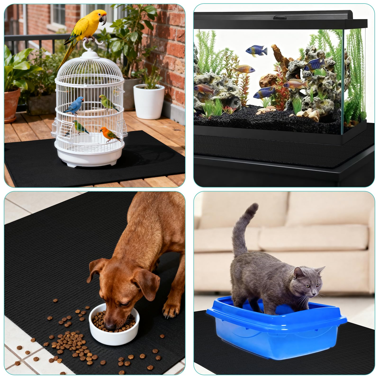 Tapis Wiojtry 80x130 cm, taille genereuse pour chiens.
