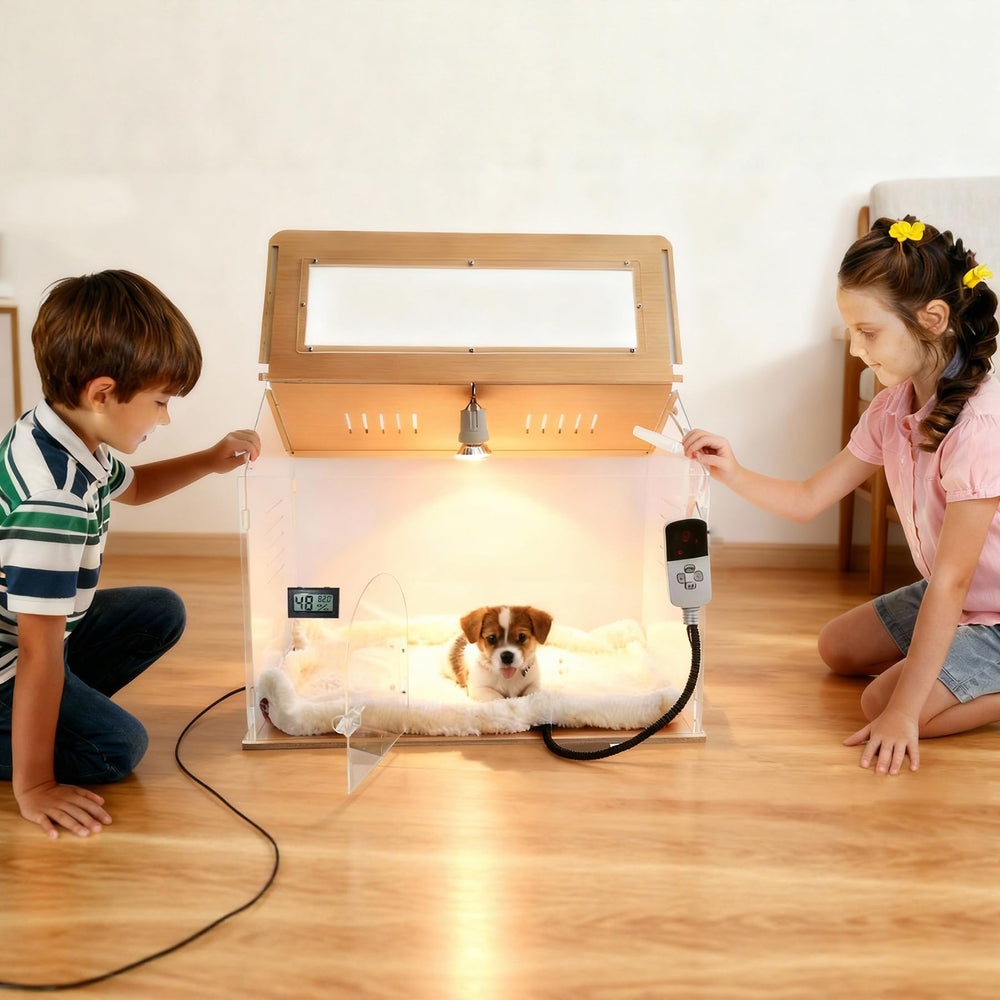 Accessoire atomisation WIONBE pour humidification et soins respiratoires.