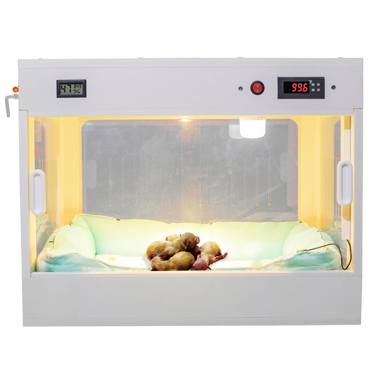 WIONBE incubateur chiots vision pour surveiller le chiot en temps réel.
