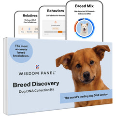 Wisdom Panel: boîte et étiquettes du kit ADN pour identifier les races
