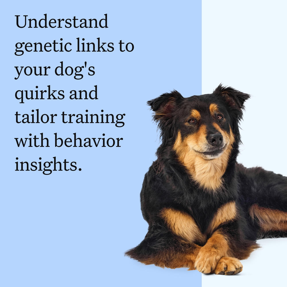Wisdom Panel: mode d emploi clair pour réaliser l analyse ADN