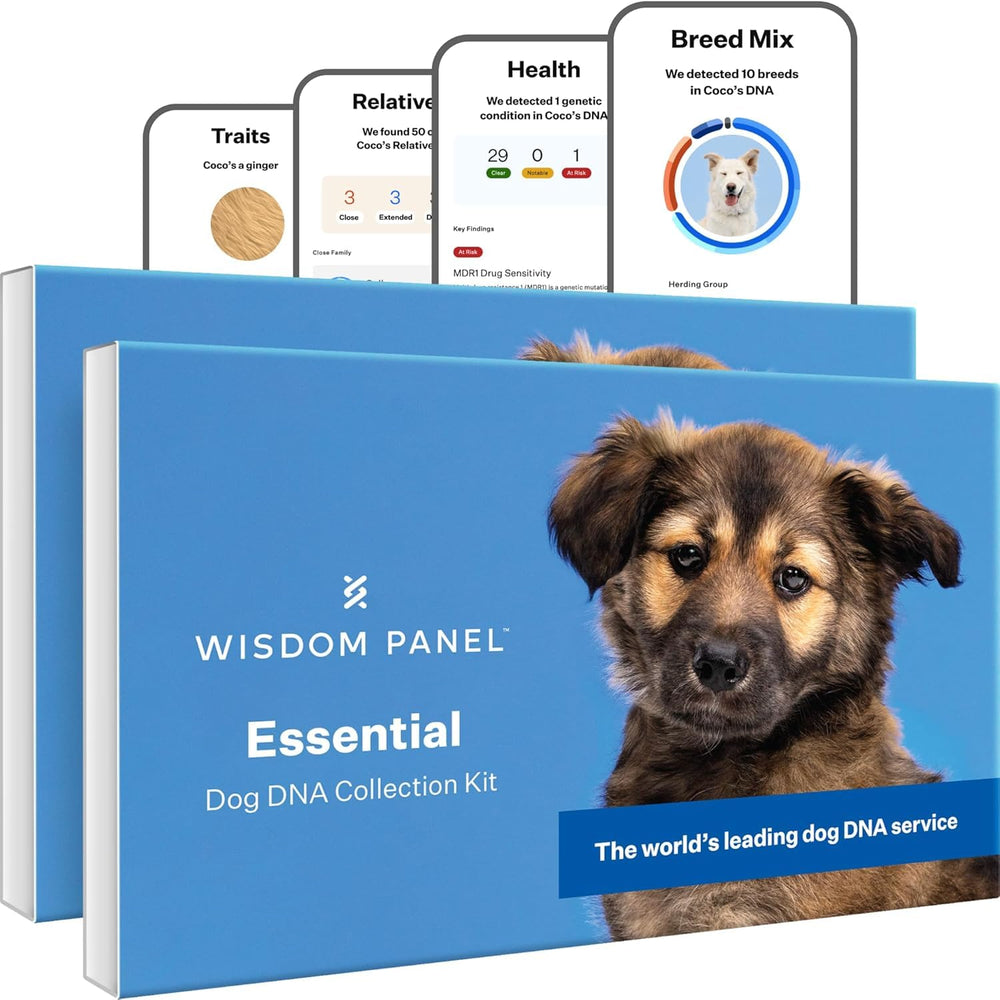 Wisdom Panel Essential – contenu du kit pour démarrer l’analyse ADN chien avec précision.