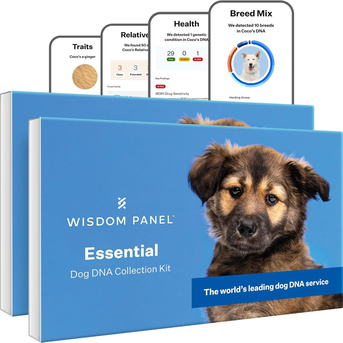 Wisdom Panel Essential – contenu du kit pour démarrer l’analyse ADN chien avec précision.