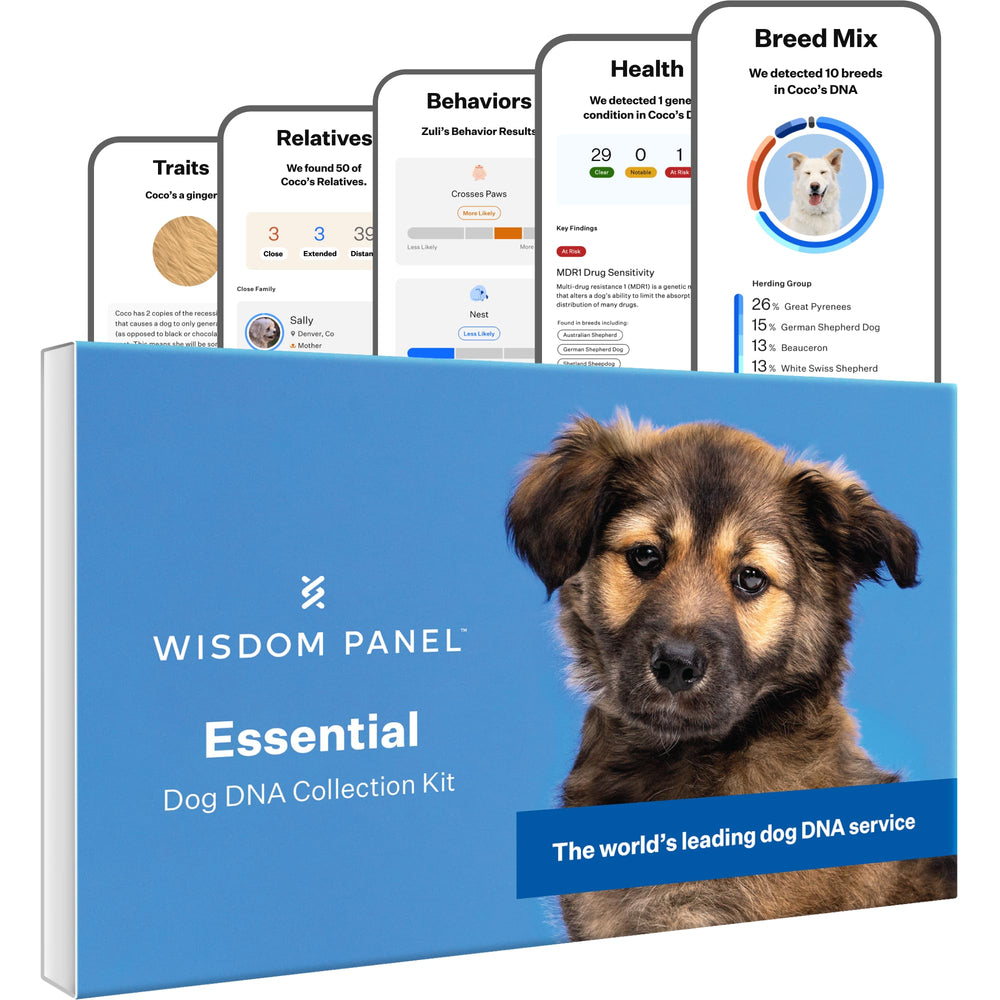 Wisdom Panel Essential : le kit ADN chien, prêt à l'emploi et facile à utiliser.
