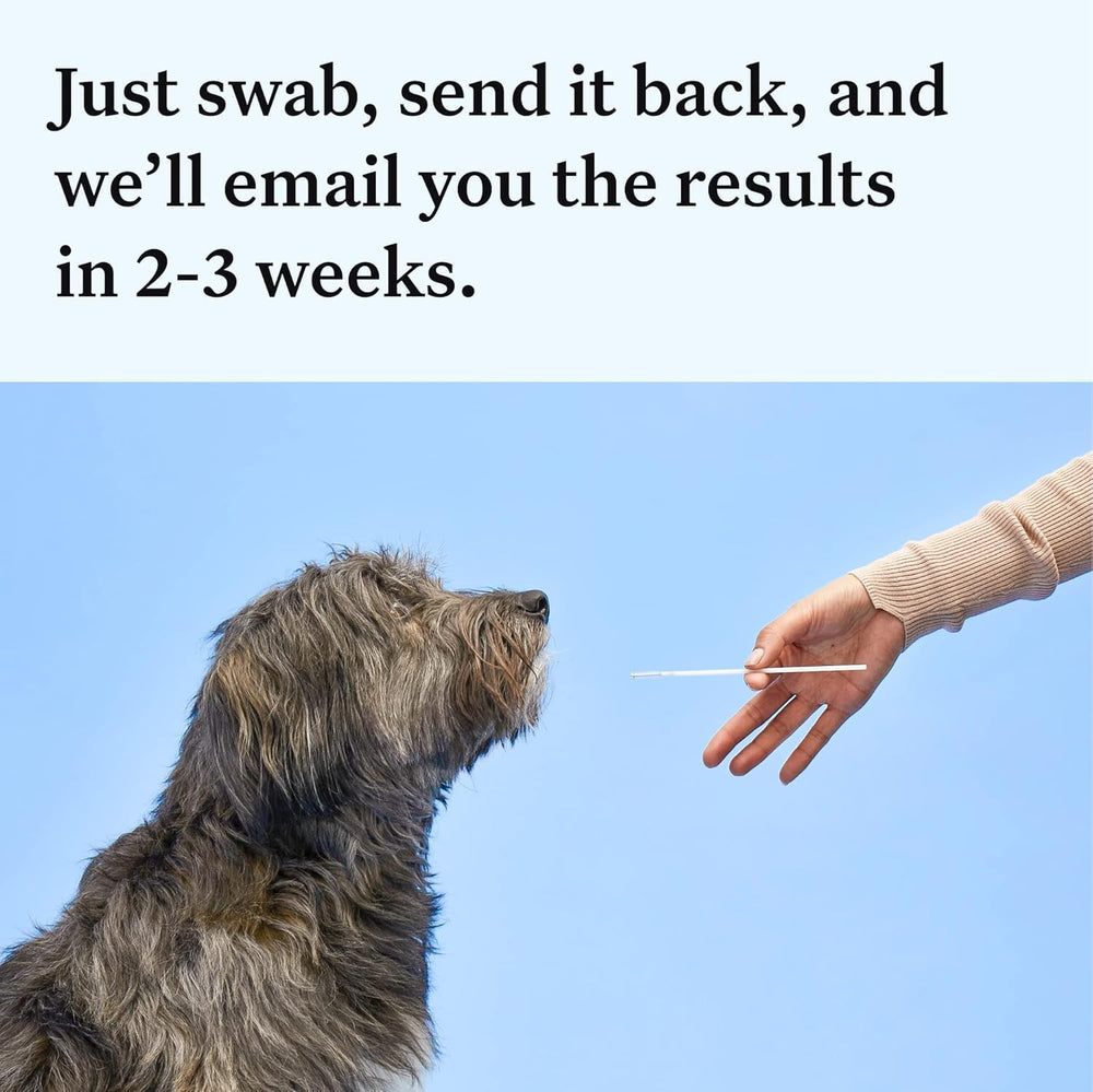 Wisdom Panel Essential : 50 traits révélés pour comprendre les comportements.