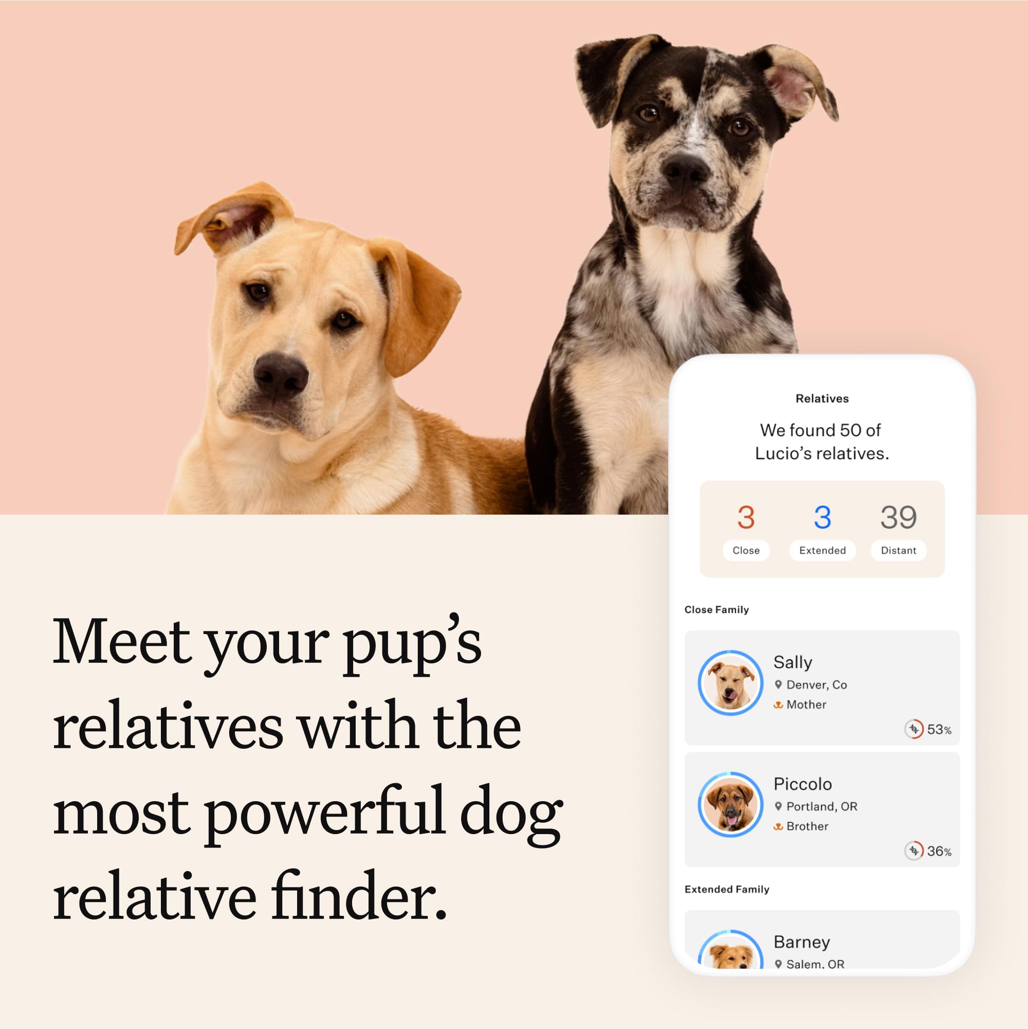 Wisdom Panel Premium Analyse Santé Genetique — informations sur certains risques potentiels