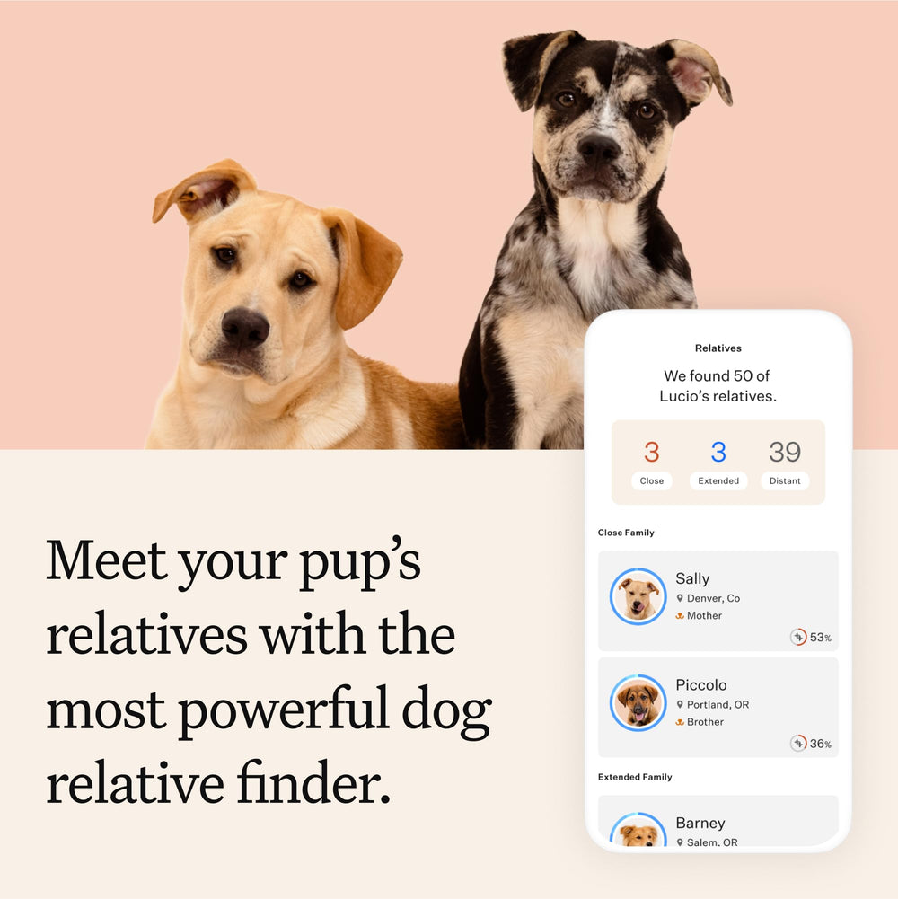 Wisdom Panel Premium Analyse Santé Genetique — informations sur certains risques potentiels
