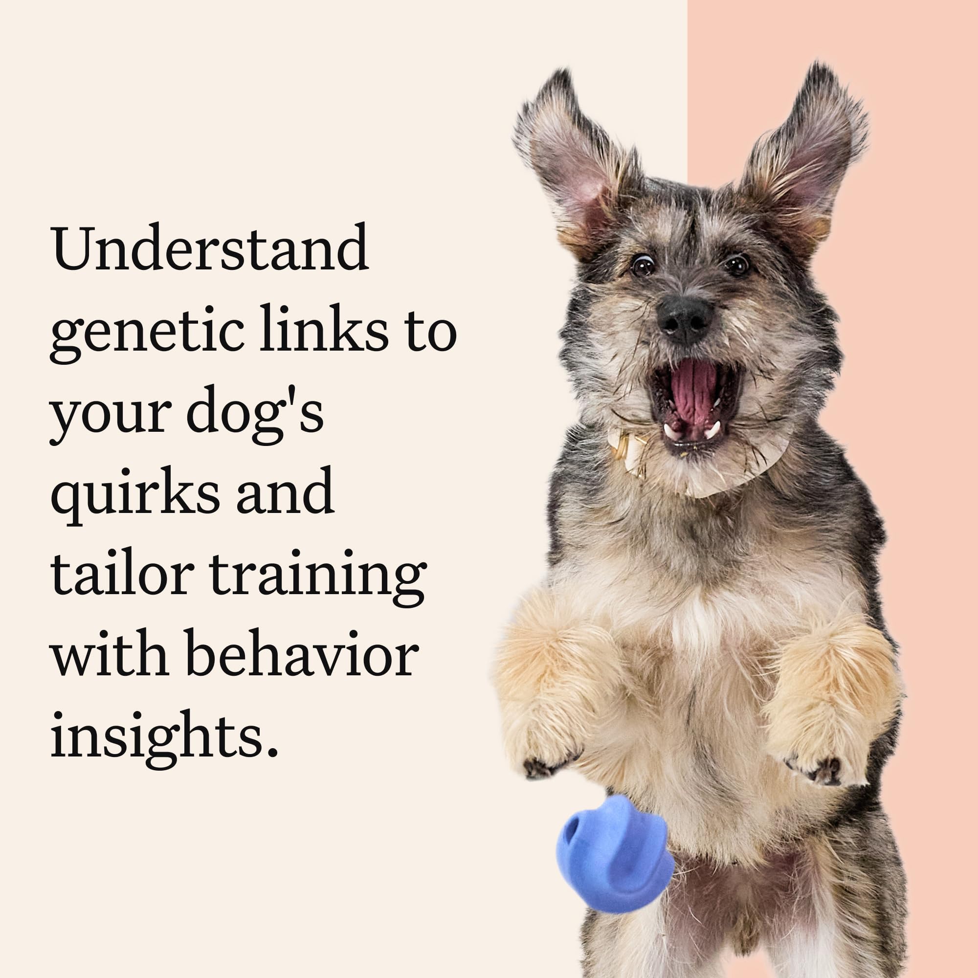 Wisdom Panel Premium Communaute Chiens Dossiers — connexion avec d autres propriétaires et échanges