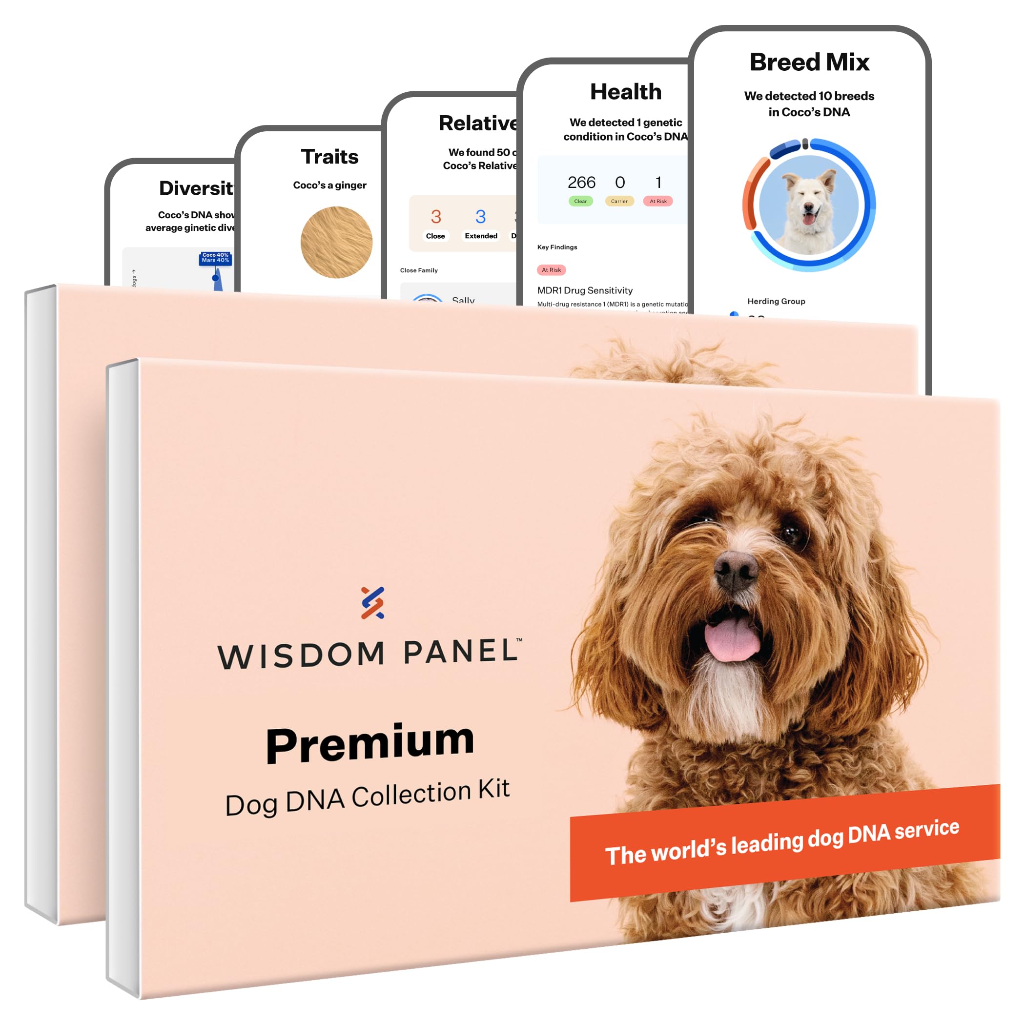 Wisdom Panel Premium Kit ADN Chien — emballage prêt à l'emploi pour démarrer rapidement l analyse