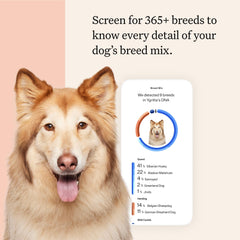 Wisdom Panel Premium Rapport ADN Chien — rapport détaillé sur les races et l héritage
