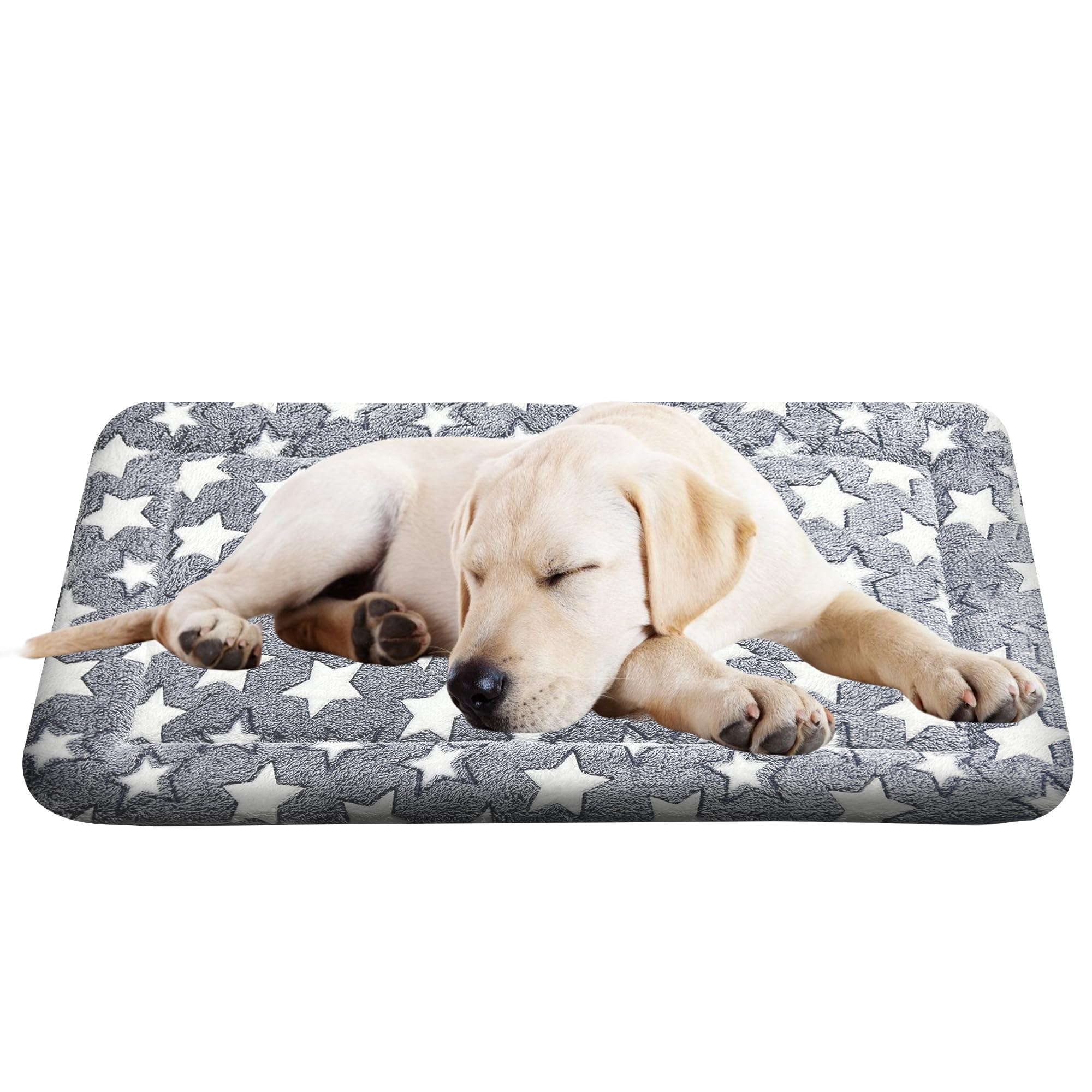 Coussin Wittop lavable pour chien, confort durable.