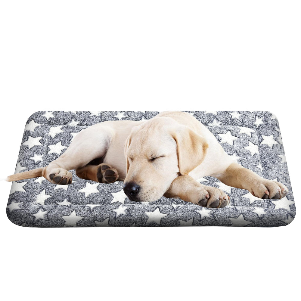 Coussin Wittop lavable pour chien, confort durable.